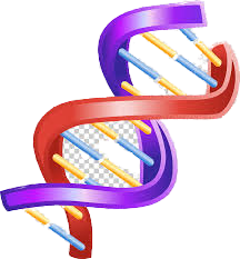Quantité de DNA