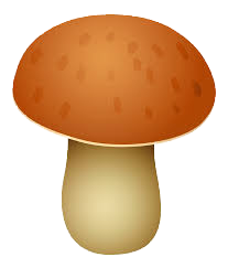 Amount of Mushrooms
