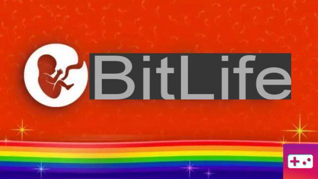 What is the highest judo and martial arts belt in BitLife?