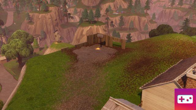 Fortnite: Week 2 challenge: Put a basketball in different baskets