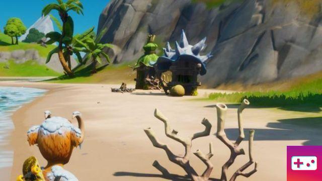 Visit Coral Cove, Lonely Shack, and Downed Plane without swimming in a single match, Meowskey Prank Mission
